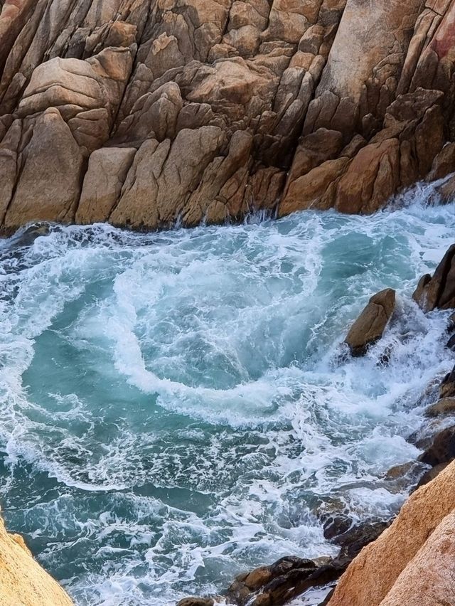 울산 하루 코스: 오전엔 숲, 오후엔 바다, 밤엔 관람차