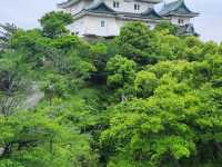 大阪遊客越來越多，不如放鬆去白濱和歌山三日遊
