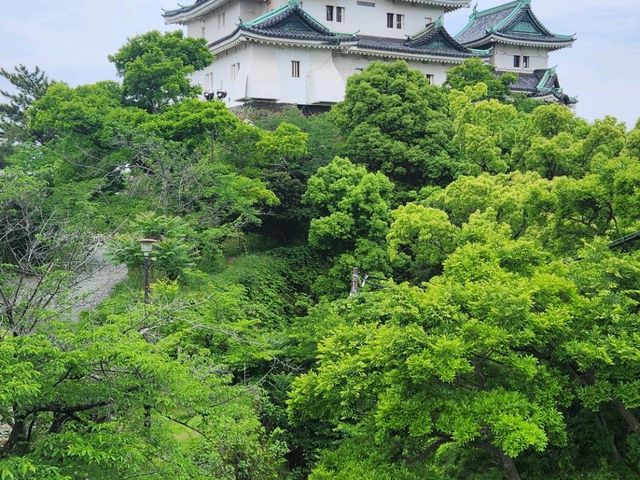 大阪遊客越來越多，不如放鬆去白濱和歌山三日遊