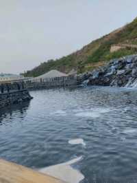 A Day in Kalba Hanging Gardens