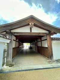 A Day of Nature & History in Fukui