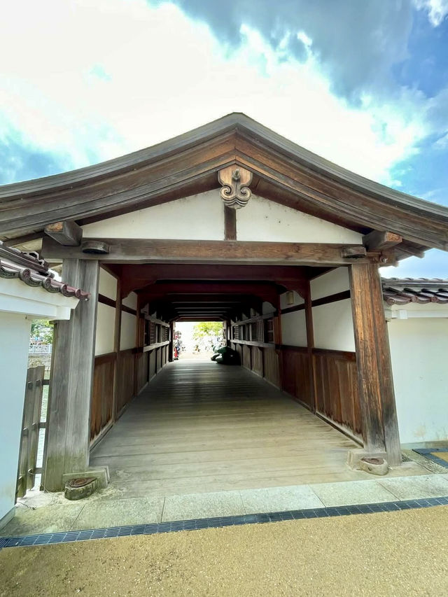 A Day of Nature & History in Fukui