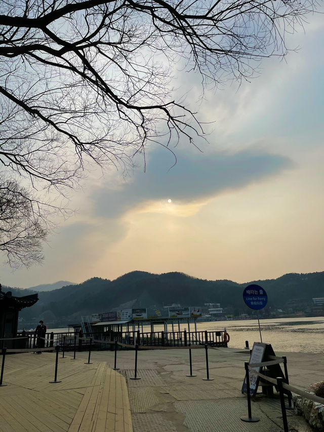 🚤 강원도 남이섬에서 즐기는 낭만 여행!