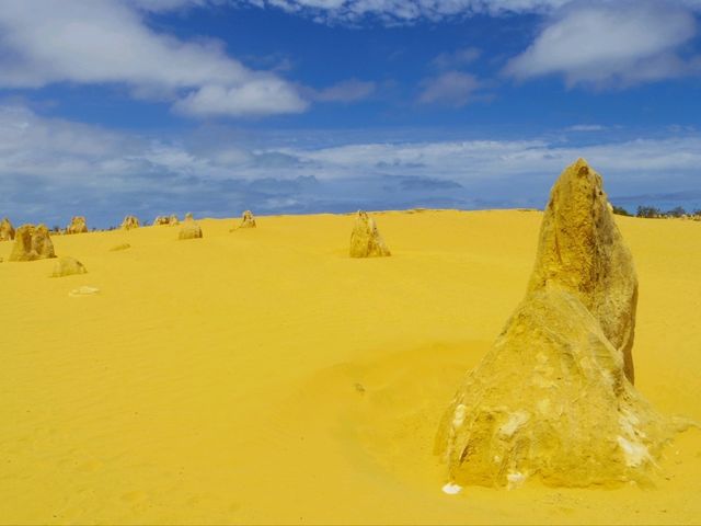 【パース🇦🇺】ユニークな景色✨️ピナクルズ