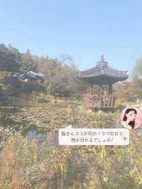 【ソウル近郊】ロケ地によくなる樹木園🌲