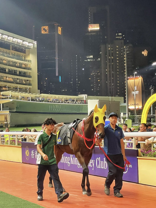 跑馬地夜馬體驗🏇🏻先駿廊餐廳🍴