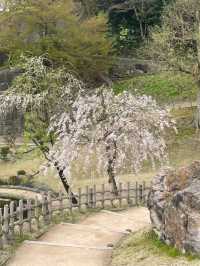 Kanazawa Castle & Kenrokuen – Timeless Beauty in the Heart of Kanazawa