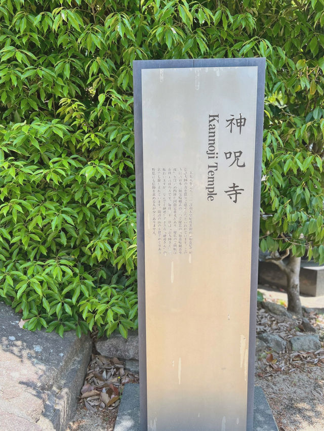 【兵庫/西宮】神を呪う寺…⛩️？！