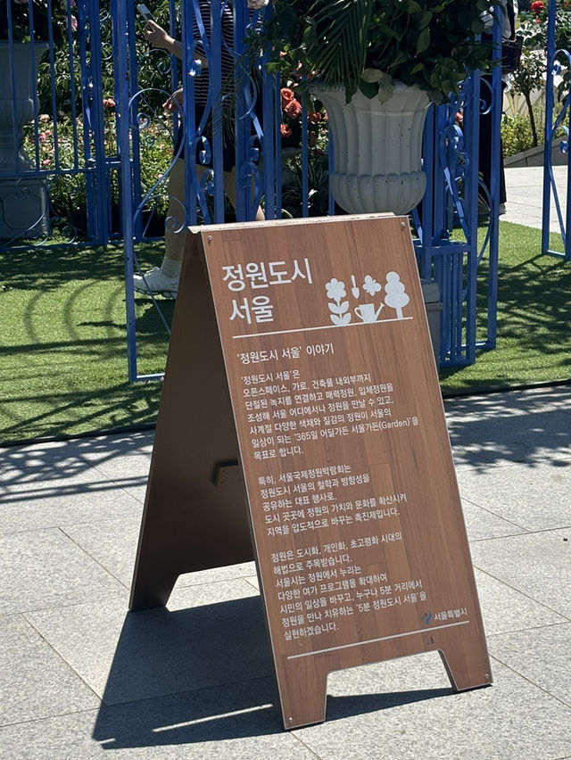 꽃놀이 가보자