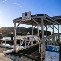 🌊 Sydney Day Trip | Woy Woy — The Pelican Town 🐦✨