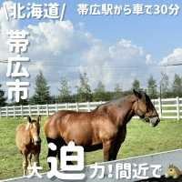 世界で唯一⁉️ばんば見れる牧場