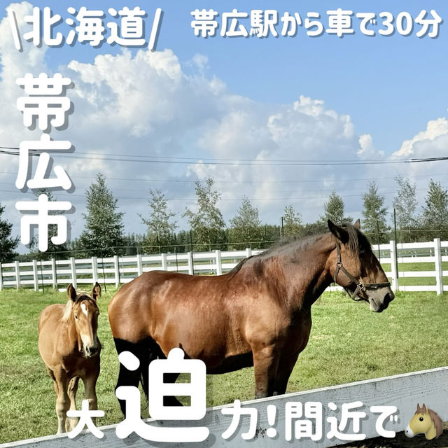 世界で唯一⁉️ばんば見れる牧場