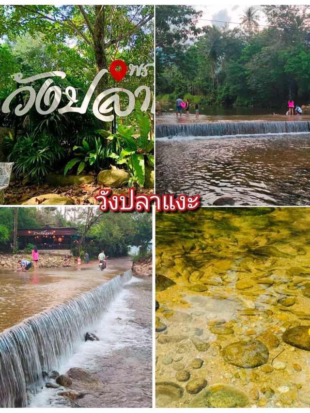 แพลนเที่ยว พรหมคีรี 2 วัน 1 คืน นครศรีธรรมราช 