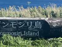 利尻の景色良かったなぁ