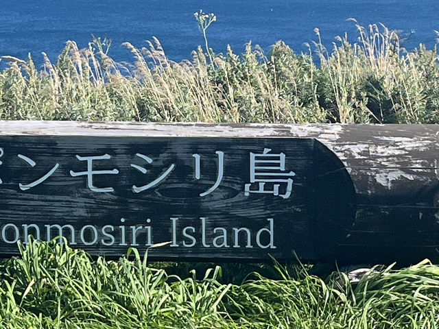 利尻の景色良かったなぁ