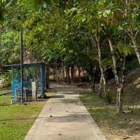 จุดเช็คอินภูเก็ต