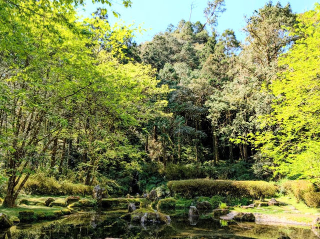 宜蘭｜明池森林遊樂區