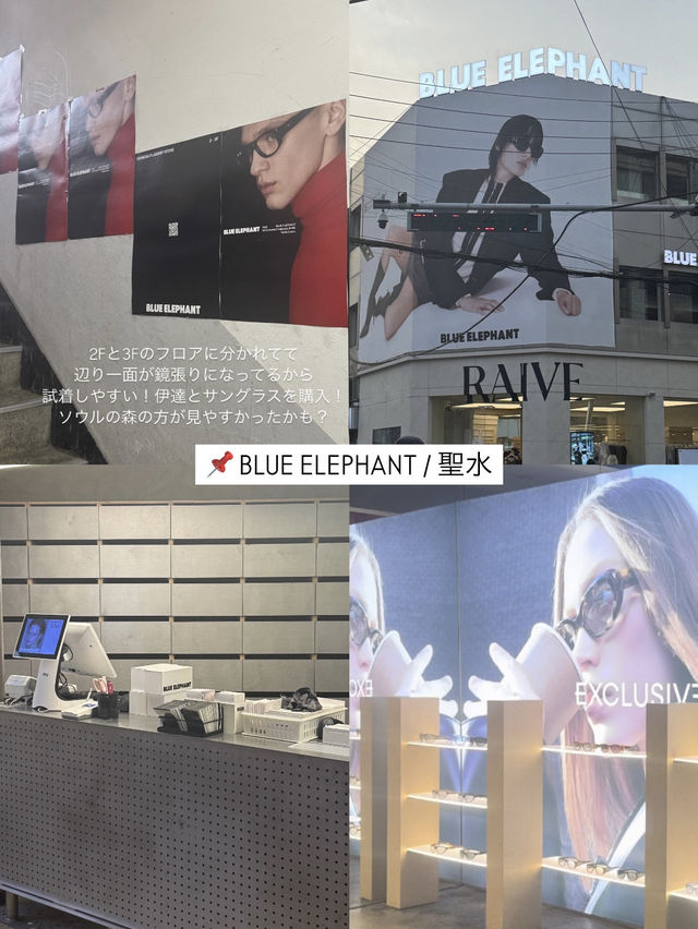 韓国爆買い旅🛍️💸日本未上陸フレグランスショップ⁉️in Seoul