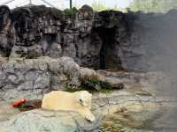 Gold Coast Theme Parks any good now? 
