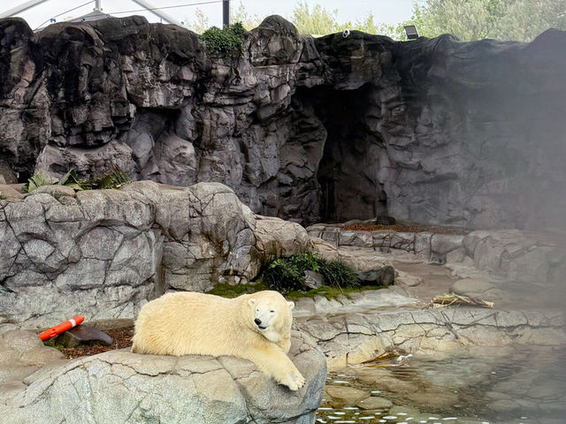 Gold Coast Theme Parks any good now? 