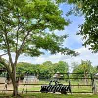 Bonanza Exotic park