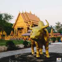 วัดทุ่งไทรทอง