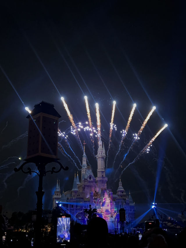 Shanghai disneyland