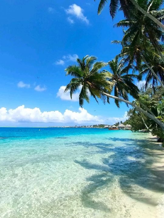Bora bora