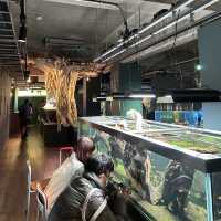 【廃校水族館】みなとやま水族館がエモすぎた🐟🏫