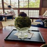 Traditional Japanese tea house 