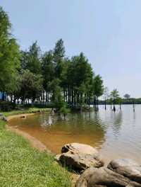 🏞️ 松山湖生態園區