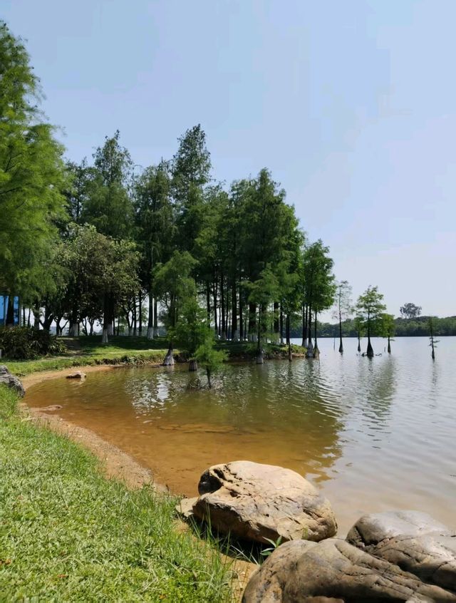 🏞️ 松山湖生態園區
