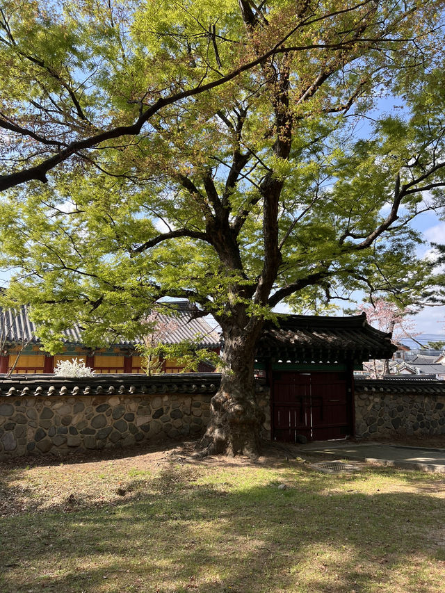 경주 알찬 1박 2일 여행코스💕