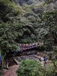 Shivapuri best hike near Kathmandu 