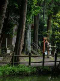 龍神が棲む湖と一生に一度の願い事が叶えられる神社