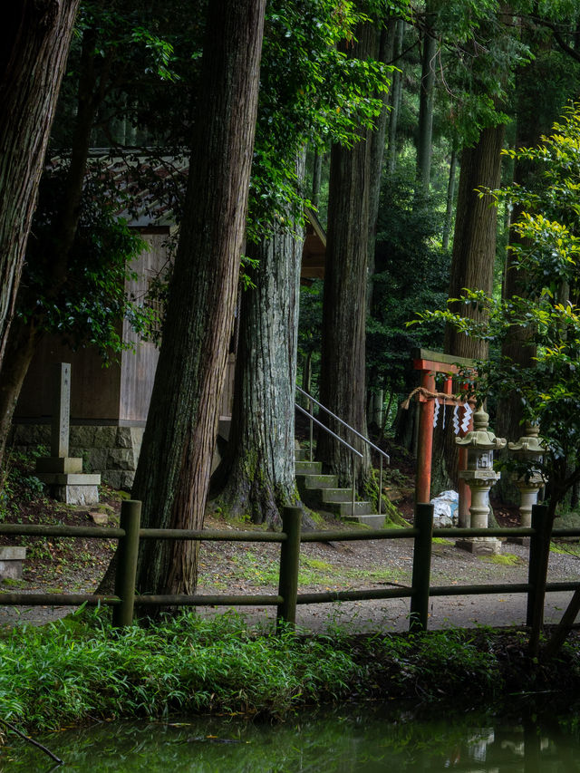 龍神が棲む湖と一生に一度の願い事が叶えられる神社