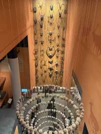 Shanghai Natural History Museum – A Spiraling Tapestry of Life and Architecture  