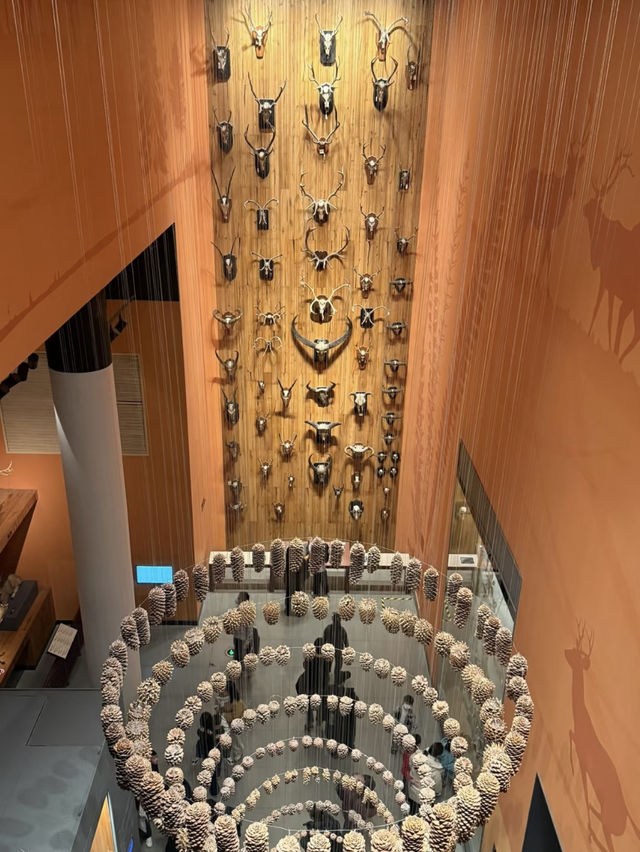 Shanghai Natural History Museum – A Spiraling Tapestry of Life and Architecture  