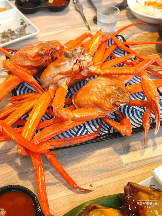 이비주얼 어떻게 안가시나요! 당장 가아죠!