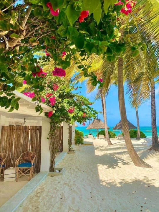 Zanzibar