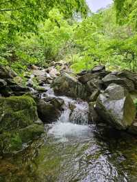 A Hidden Gem in Hongcheon