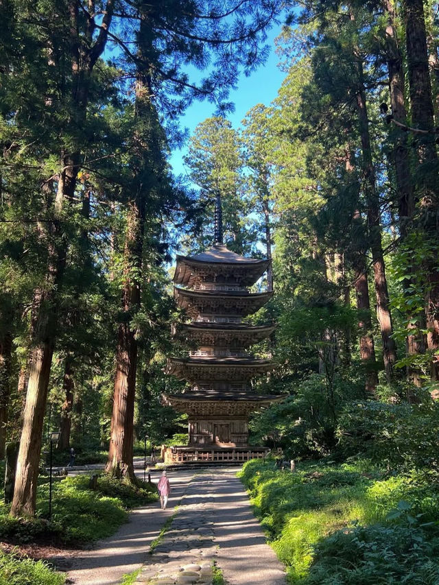 🏔️【山形・鶴岡 羽黒山】2446段の石段と国宝五重塔が誘う、神々と自然の巡礼旅