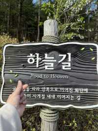 Seoul in Spring 2025 — A Moment to Remember 🌸