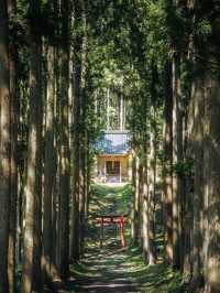 🏔️【山形・鶴岡 羽黒山】2446段の石段と国宝五重塔が誘う、神々と自然の巡礼旅