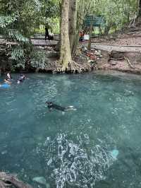 Khao Yai Adventure: 🐘 🍉🍕