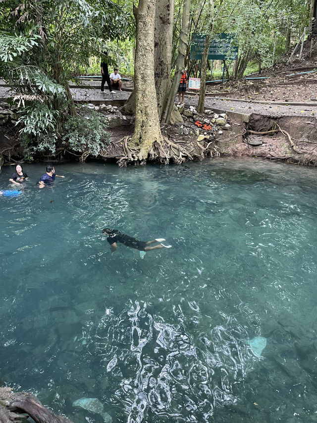 Khao Yai Adventure: 🐘 🍉🍕