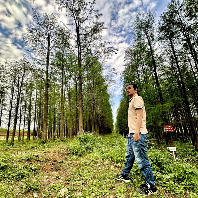 桃園🌿 楊梅一日小旅行｜免費拍照景點＋秘境體驗！