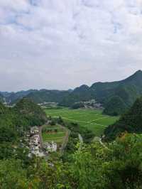 天下山峰何其多  唯有此處峰成林