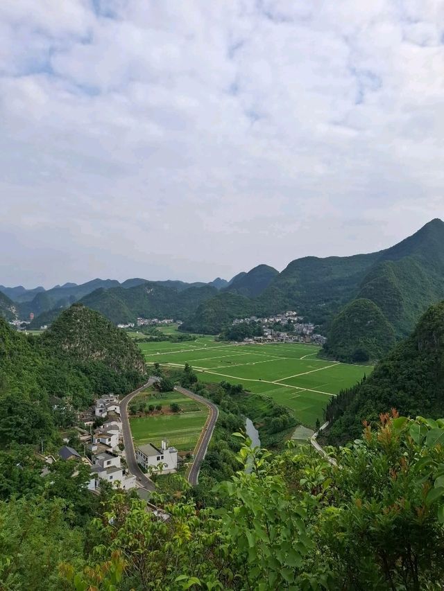 天下山峰何其多  唯有此處峰成林