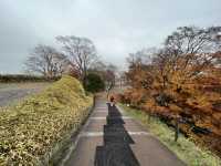 🏯 Scenic but Sparse – A Rainy Day Visit to Nihonmatsu Castle Ruins